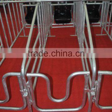 Sales promotion farrowing crates gestation cages