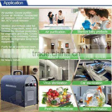 China Manufacturer High Efficiency Portable Food Ozone Generator Supplier photo-5