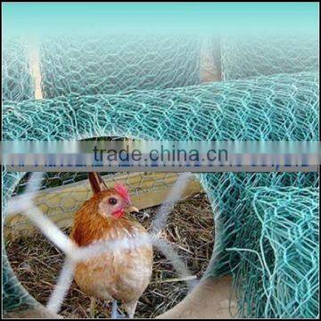 Anping Supplier Galvanized Hexagonal Wire Mesh