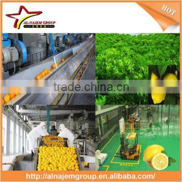Hot Hot Juice Production Lemon Beverage Hot Filling Machine Lemon Processing Machine photo-5