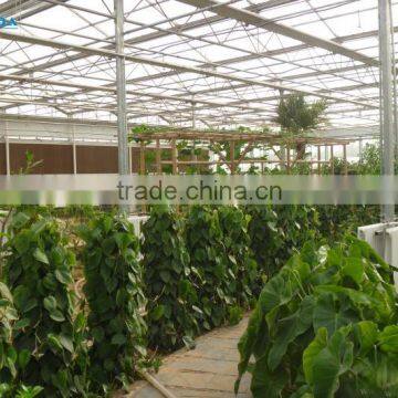 Vegetable &Fruit Used Pvc Greenhouse photo-3