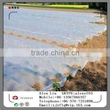 Anti-UV 18gsm 2m*200 Garden Cover photo-5