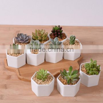 Zakka combination potted six sides indoor glazed pottery planters with bamboo tray