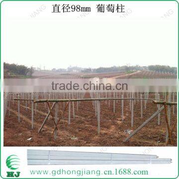Eco Recycled Plastic Stake for Grape Shed 100mm photo-3