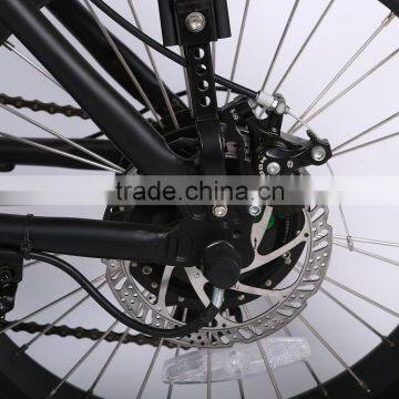 China Factory Wholesale 20 Inch Folding Ebike Fat Tire Beach Cruiser Electric Bike photo-3