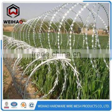 900mm Coil Diameter Sharp Razor Barbed Wire photo-3