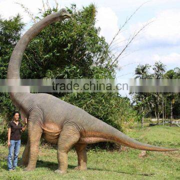 Brachiosaurus photo-4