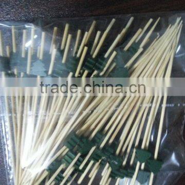 Eco-friendly Fruit Kabob Sticks Bamboo Skewerw with Green Different Plant Patern.