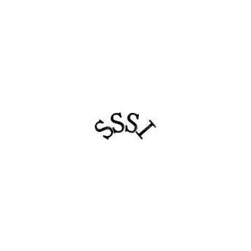 Yueqing SSSI Technology Co.,Ltd