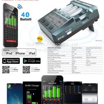 SkyRC NC2600 AA/AAA NiMH/NiCd Battery Charger & Analyzer photo-2
