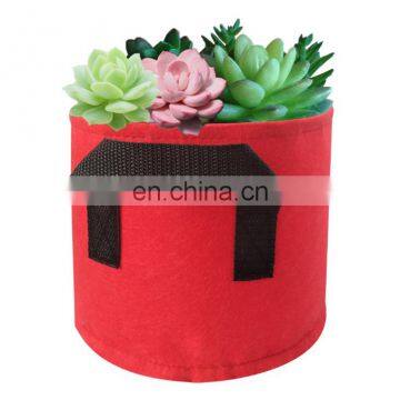 colorful felt growing bag for vegetable planter