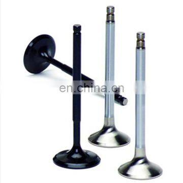 Chinese Bike Spares Parts Engine Valve for Scooter 125 Znen zn Zn125 ZN125T-22 125cc