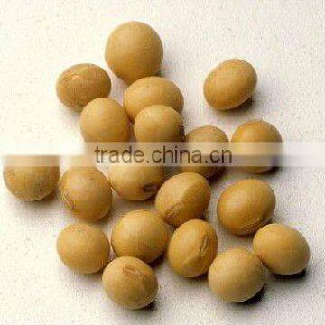 organic soya bean NON GMO