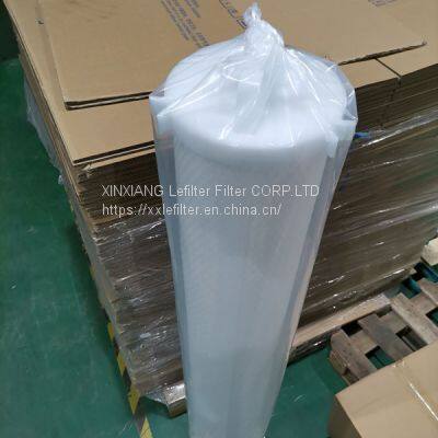 Replace Pentair High Flow Water Filter Element ALN05-60B photo-3