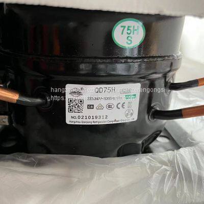 wansheng refrigerator compressor R134AQD110H