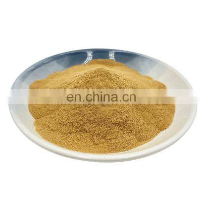 Organic Herbal Extract 10% Polysaccharide Shiitake Mushroom Powder