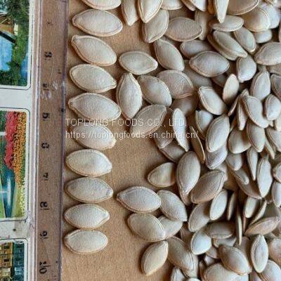 Pumpkin Seeds Kernels photo-3