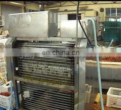 Best Cherry Stem Removing Machine Cherry /fruit Processing Machine photo-5