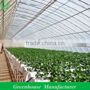 solar greenhouse for agricultural