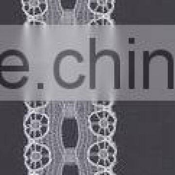 Nice Lace Border Fabric