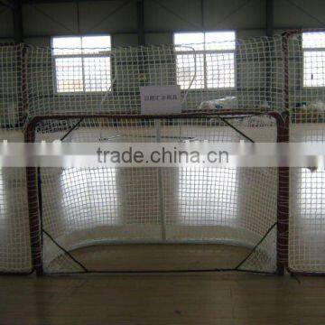 Ice hockey net