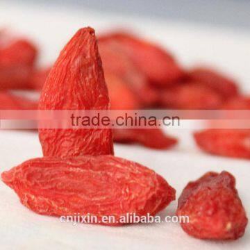 Natural Chinese medlar fruits with best quality