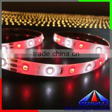 double white cri led strip