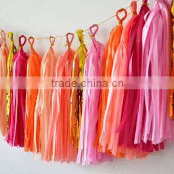 Colored Party Decorations Tissue Paper Tassel Garland Wholesale Paper Pom Poms