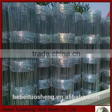 Galvanized fence wire mesh for cow