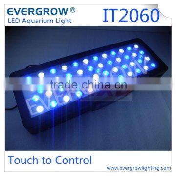 120W LED Aquarium Fish Tank Lamp Reef Live Coral LED Hood Blue White Grow Lights Led Aquarium Lights Evergrow IT2060