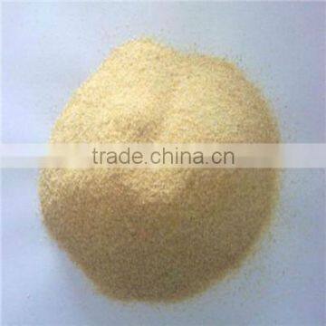 Bulk Dehydrated Garlic Powder 80-120 Mesh Price Quality Choice