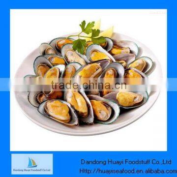 mussels manufacturers