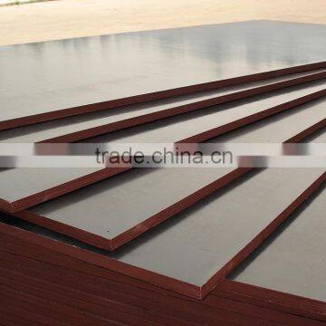 Shandong Film Faced Plywood Construction Plywood photo-4