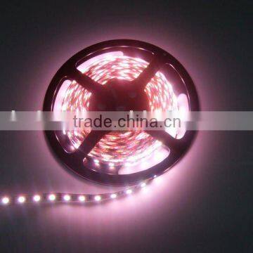 car Decoration 12V flexible waterproof led strip ribbon 3528 60led