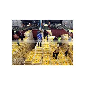 VIETNAMESE JASMINE RICE - CROP 2016 photo-4