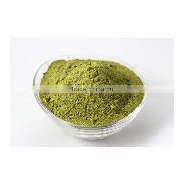 Dehydrated Mint Flakes / Powder