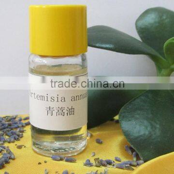 factory supplier Artemisia annua oil artemisia annua l. plant extract