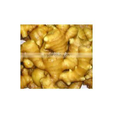 China Fresh Ginger (200g)