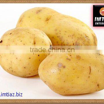 Potato