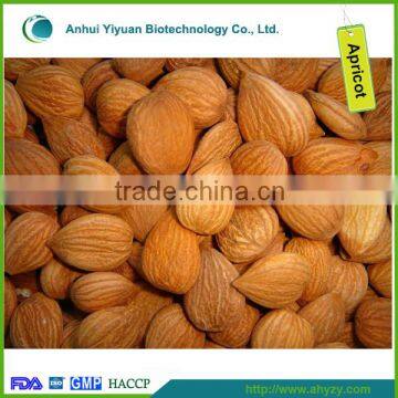 Bitter apricot kernel medicine from Gansu of China