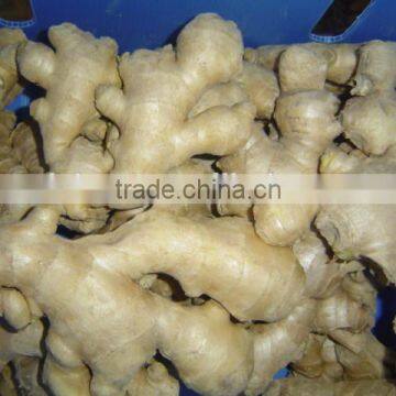 Fresh Air Dried Ginger photo-3