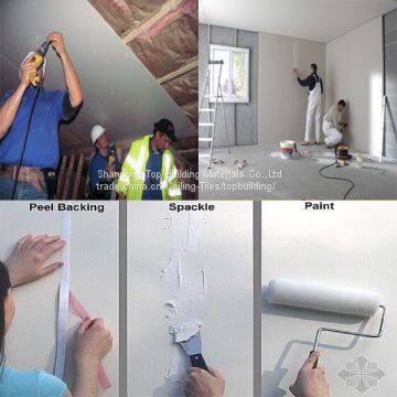 All Purpose Wall Adhesive Putty/Drywall Jointing Putty/Crack Resistant Jointing Ready Mix Compound 25kg/Bucket photo-4