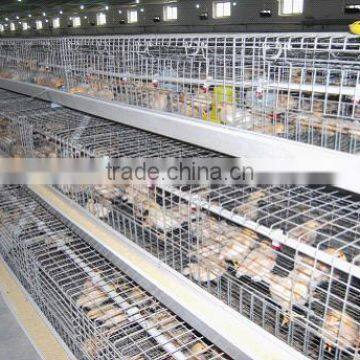 hot sales A type chicken cage for chicken farm