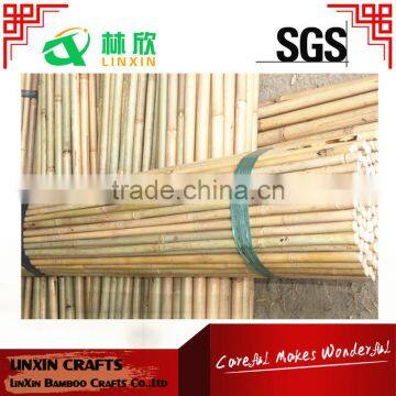 High Quality Natural Eco-Friendly Raw Bamboo Poles