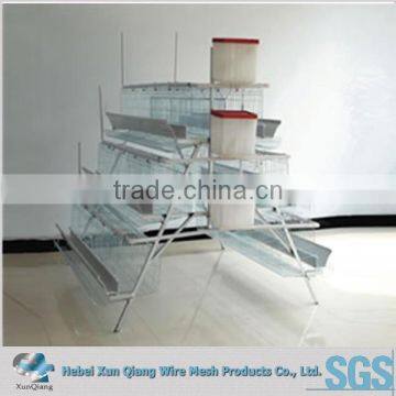 Hot galvanized chicken wire mesh cage for egg laying hens