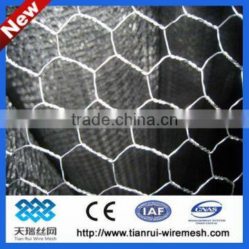 pvc coated/galvanized hexagonal wire mesh