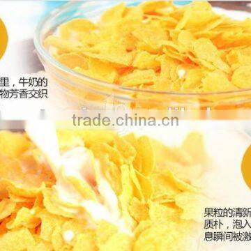 Corn Flakes Production Line photo-4