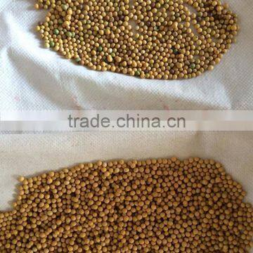 Grain Color Sorter for Sorting Different Coarse Cereals photo-6