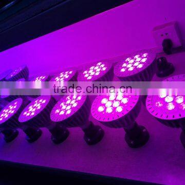 Vanq High Power Led Grow Light for Indoor Garden Par30 7w photo-2