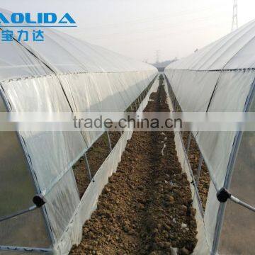 BaoLiDa Cheap Tunnel Greenhouse Agricultural Plastic Film Greenhouse photo-3